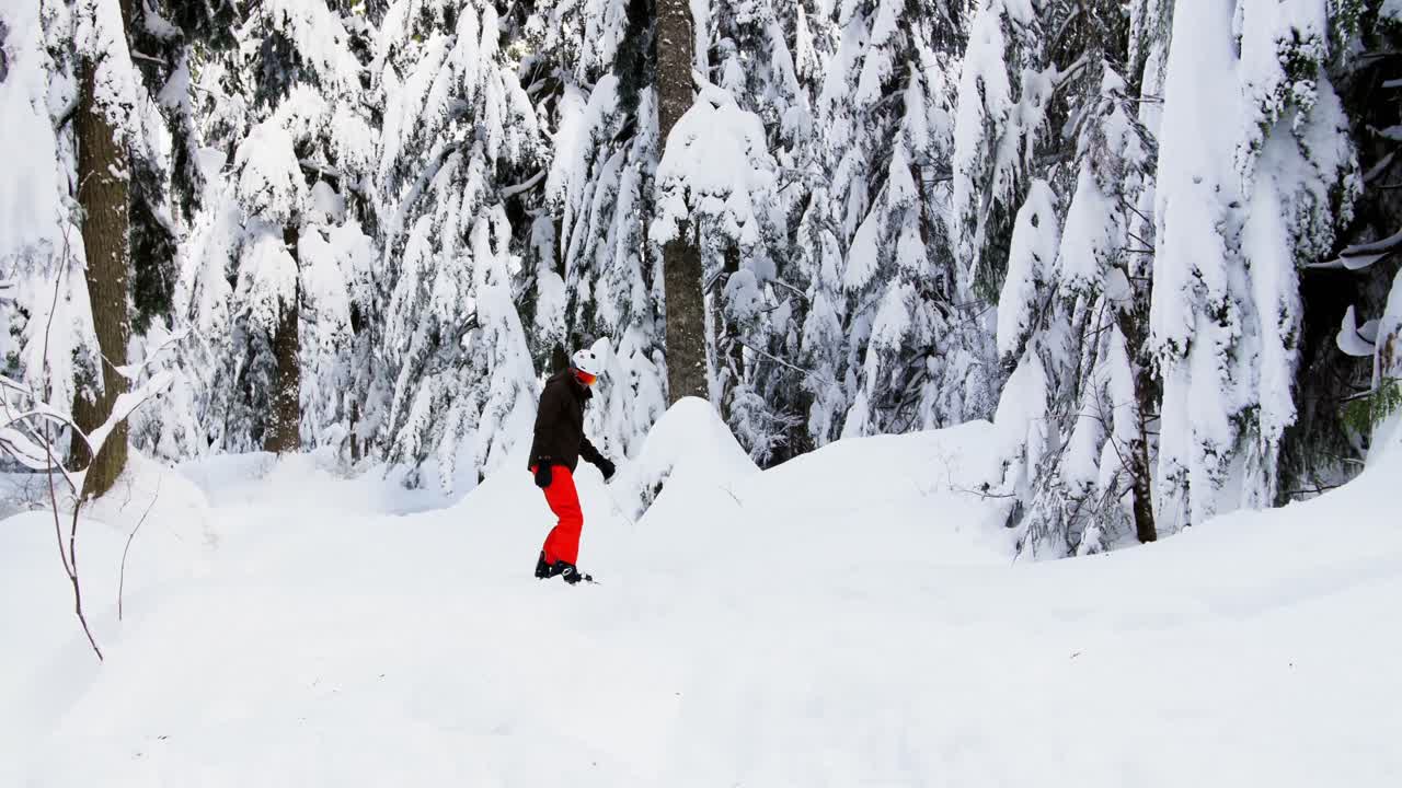 숲 을 가로질러 스노우보드 를 타는 사람 4k