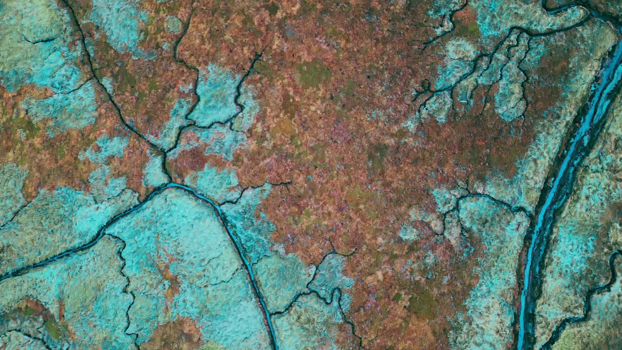 연안 수로 바다