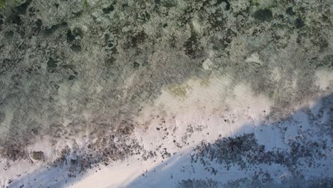 low tide in an indic ocean's beach in kiwengwa, zanzibar