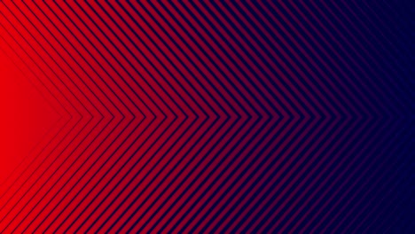 animated corporate background made of blue and red lines.