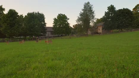 ciervos en el campo cerca de la granja de la familia joseph smith, la casa de madera, el templo, el centro de visitantes y la arboleda sagrada en palmyra lugares de origen de nueva york para los mormones y el libro de mormón