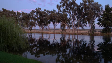 Timelapse-De-La-Salida-Del-Sol-De-Los-árboles-Que-Se-Reflejan-En-Una-Presa