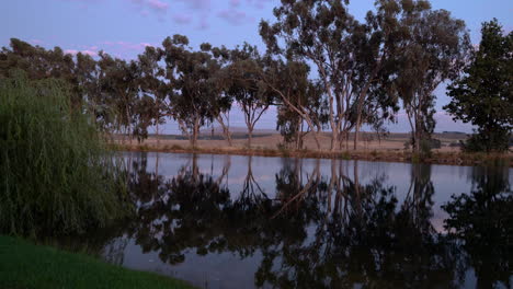 timelapse de la salida del sol de los árboles que se reflejan en una presa