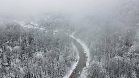 Camino-Del-Bosque-Nevado