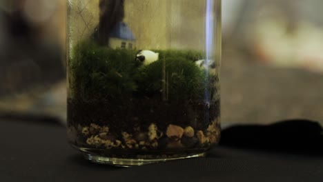 fabricación de terrario