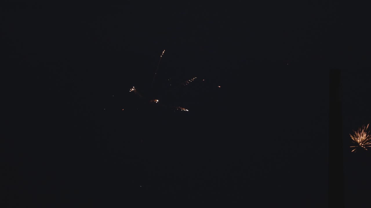 Splendidi fuochi d'artificio che esplodono nel cielo notturno durante la festa del Canada. - Campo lungo