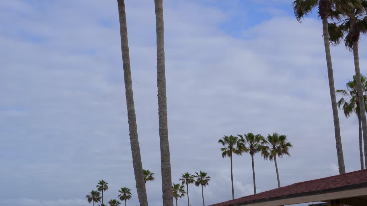 오세안사이드, 남부 캘리포니아의 아침 일찍