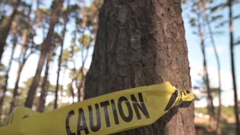 Yellow-Caution-Tape-Tied-On-A-Tree-Trunk-In-The-Woodland-Blown-By-The-Wind-On-A-Sunny-Day