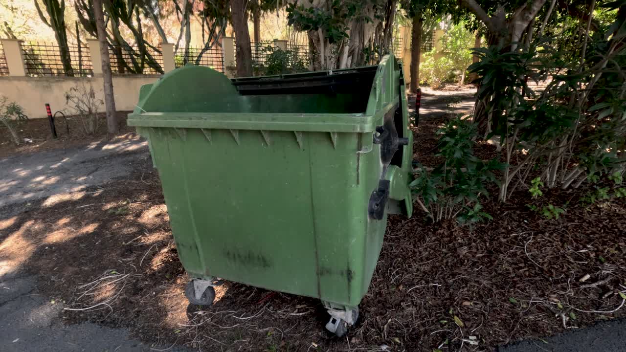Ein grüner Müllcontainer steht an einem gepflasterten Weg. Bäume umgeben den Bereich, und das Sonnenlicht filtert durch die Blätter. Es ist Tag, und der Boden ist mit trockenem Laub bedeckt.