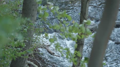 High-view-of-the-Wissahickon-Creek,-Philadelphia