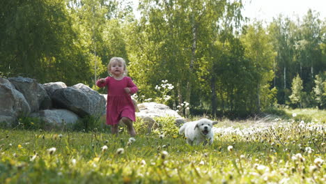 cute toddler running in dreamy meadow together with dog friend, slow motion