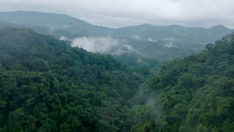 aerial forward shot of dense green mountains with vegetation on cloudy day