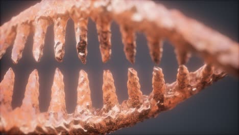 DNA-Molekül-Auf-Dem-Grauen-Hintergrund