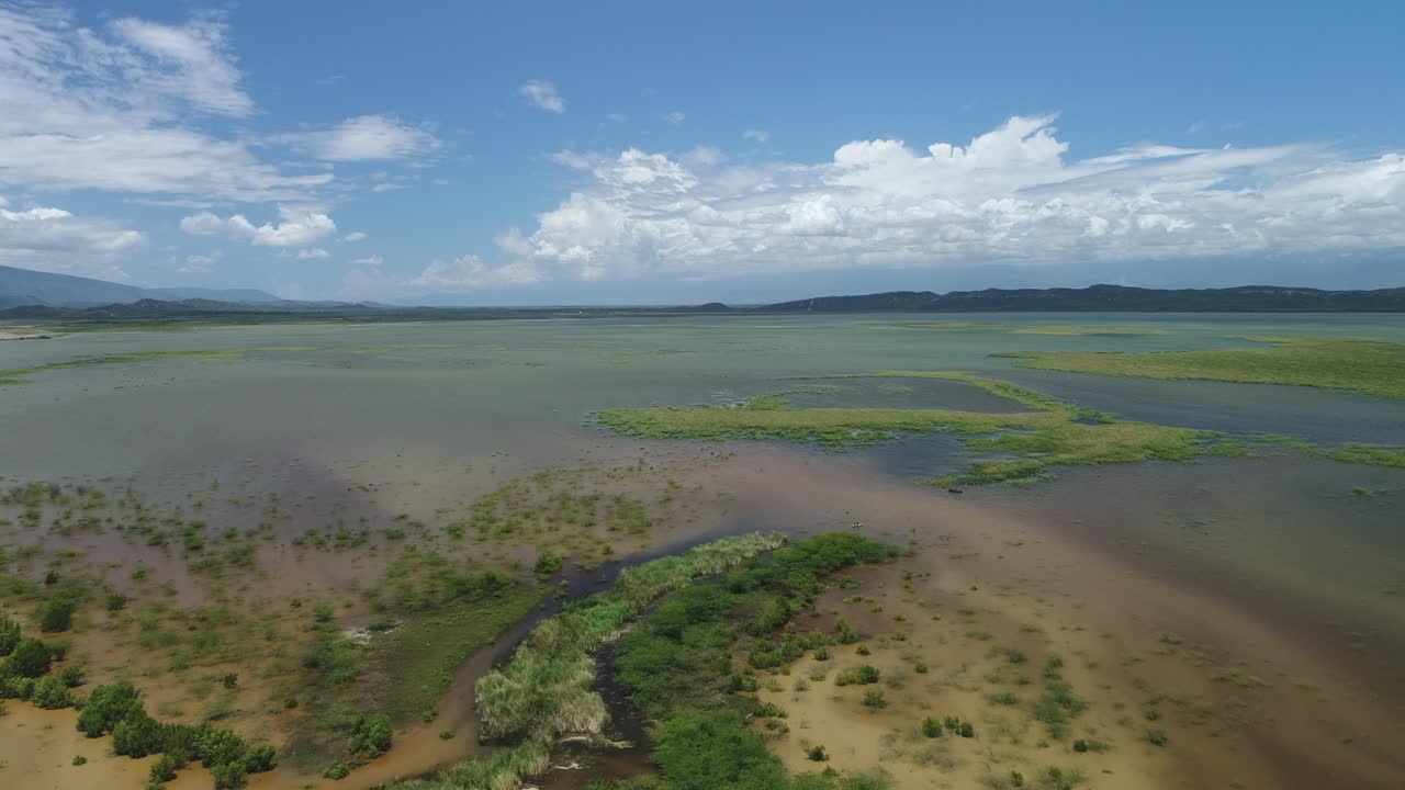 hierba arenosa y arbustos crecen en las aguas del océano rodeadas de montañas en un día soleado, antena de drones