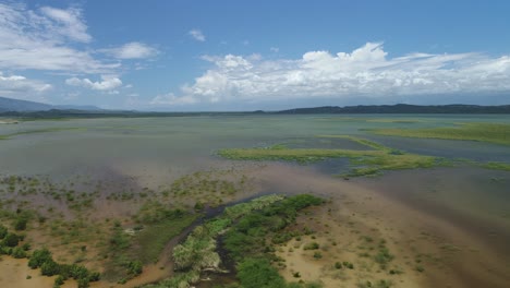 hierba arenosa y arbustos crecen en las aguas del océano rodeadas de montañas en un día soleado, antena de drones