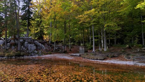 Nehmen-Sie-Sich-Einen-Moment-Zeit-Zum-Entspannen-An-Einem-Ruhigen-Teich,-Umgeben-Von-üppigem-Grün