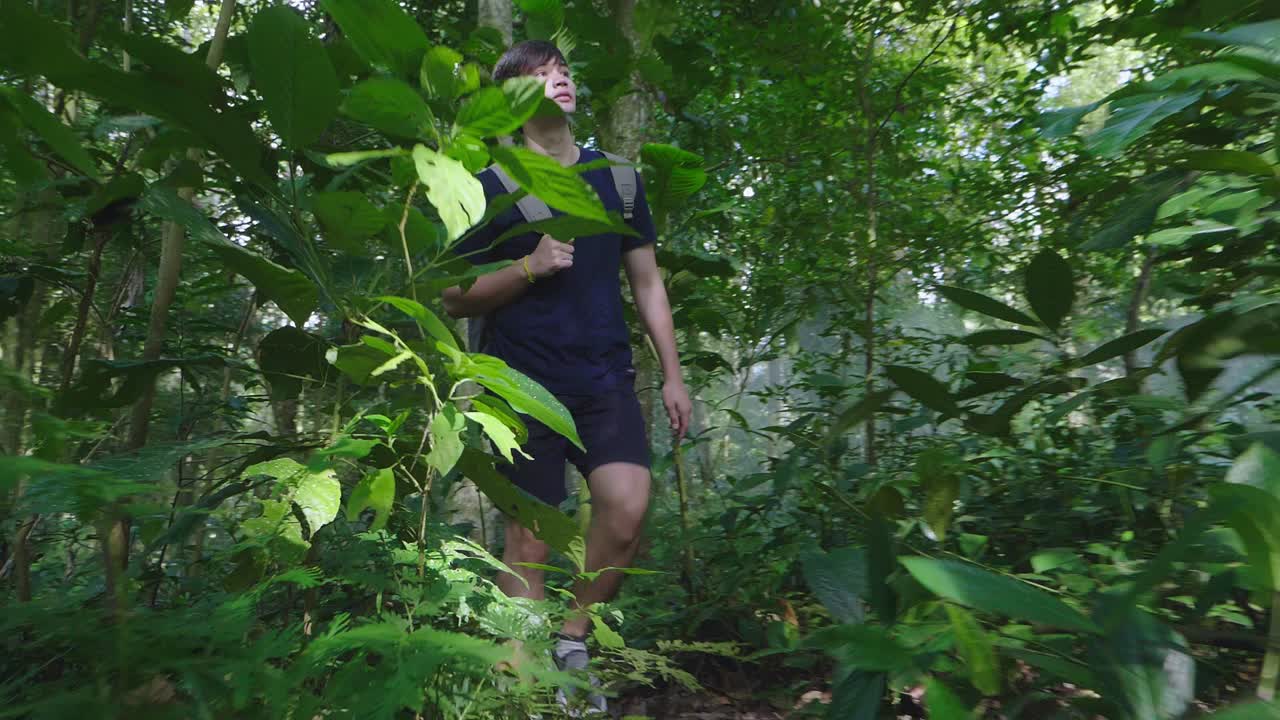 Man Hiking in a Lush Jungle
