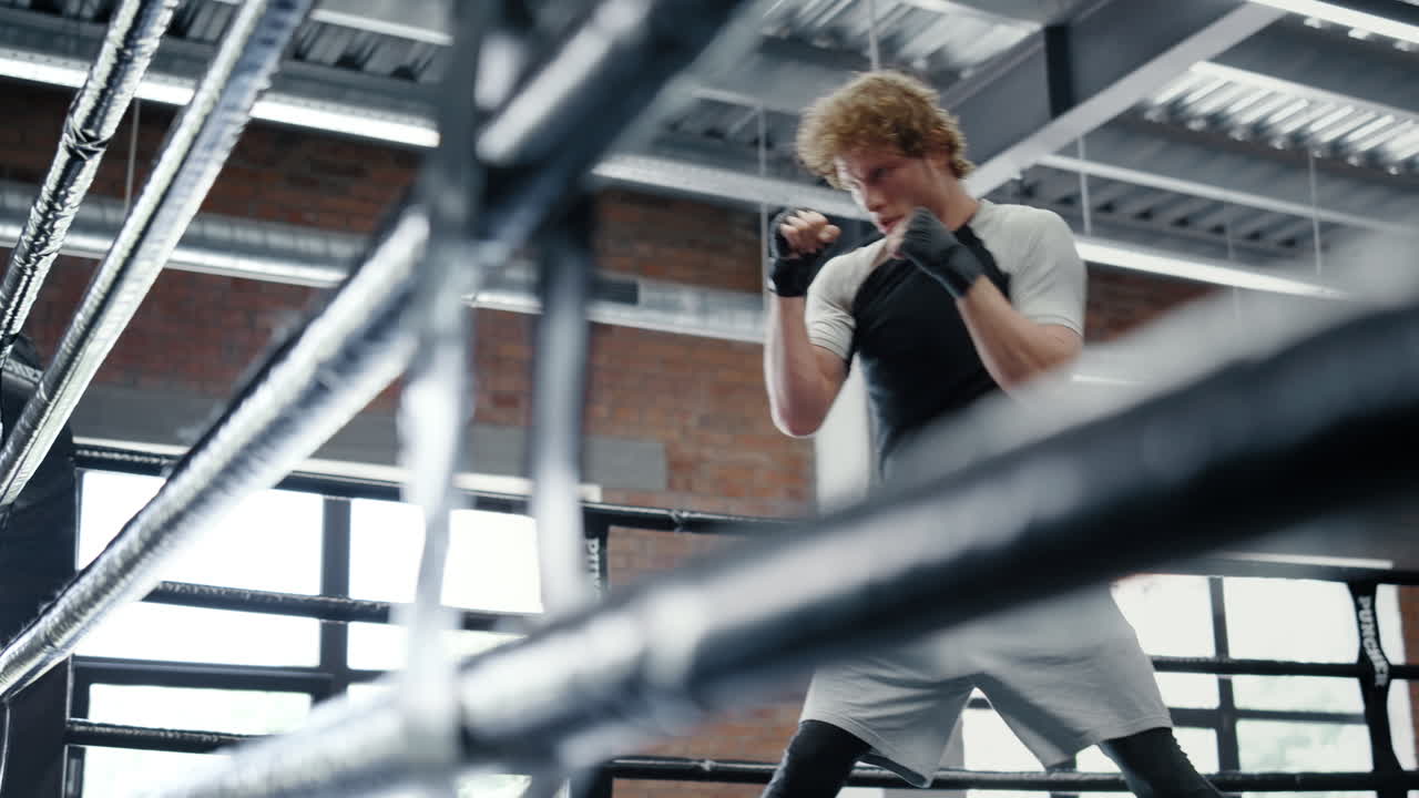 진보적 인 싸움 ⁇  이 체육관 에서 전투 를 준비 하고 있다.  ⁇ 박서 훈련  ⁇