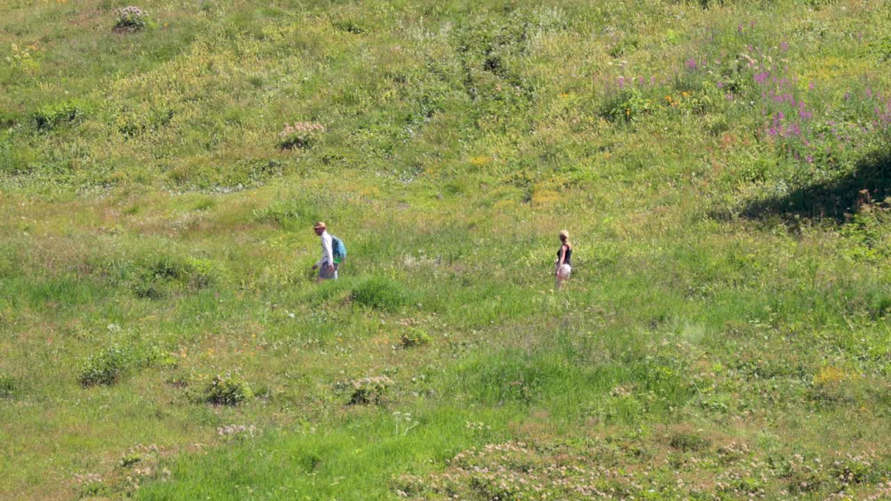 두 사람이 잔디에서 고 있다