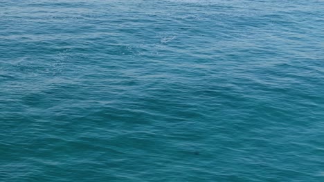 Blue-Sea-Surface-With-Ripples.-static-shot