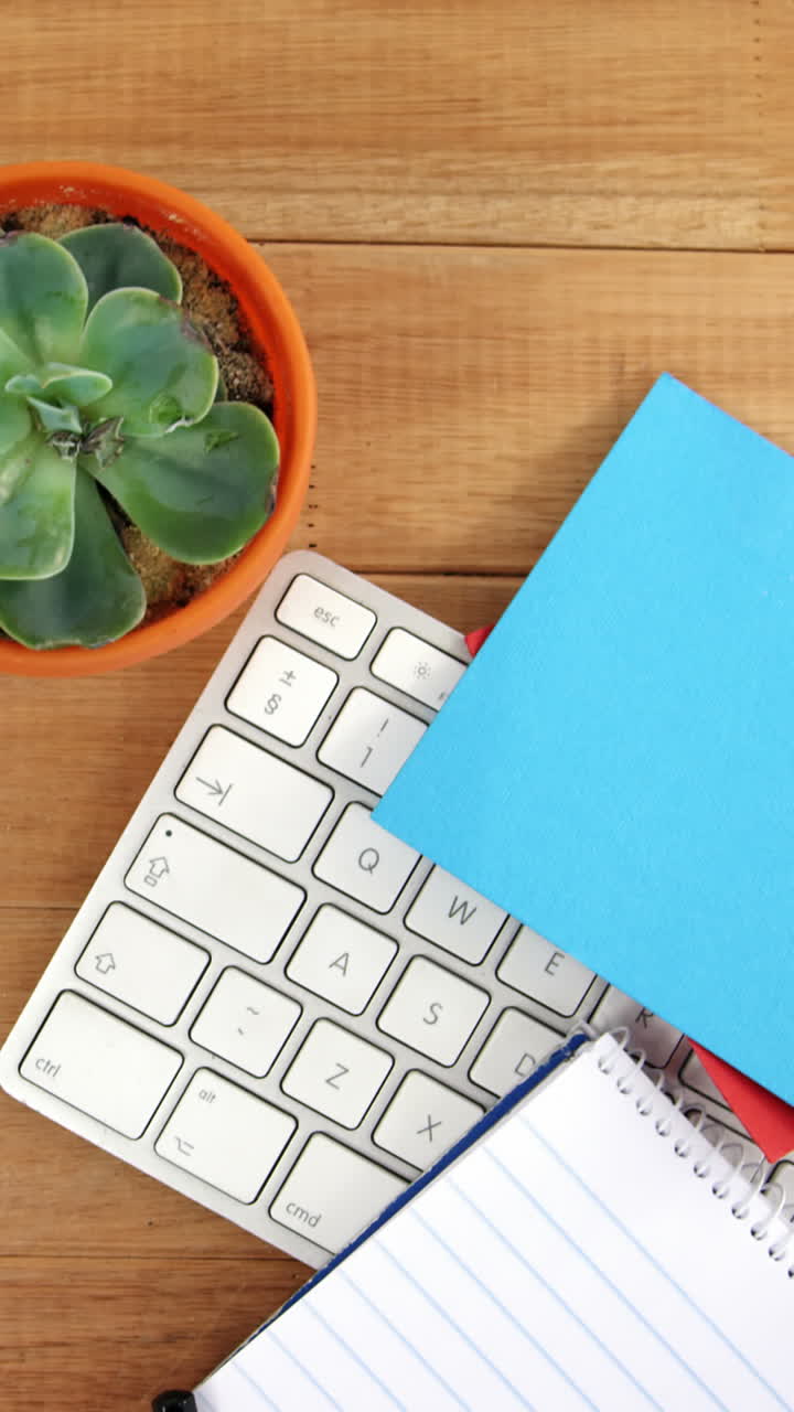 Pot plant with sticky notes and keyboard