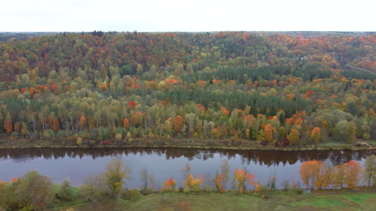 vista del paisaje otoñal del río gauja por bosques coloridos árboles amarillos naranjas y verdes, día soleado