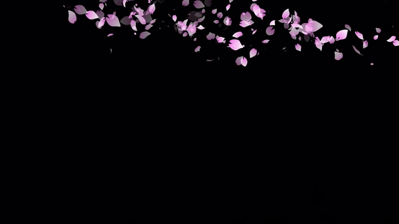 사쿠라 체리 꽃 입자 애니메이션