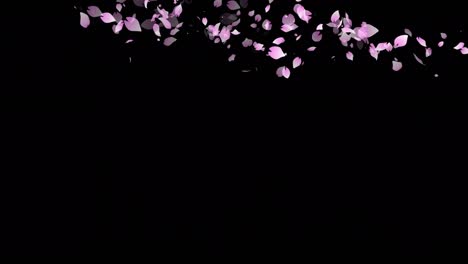 animación de partículas de la flor del cerezo sakura