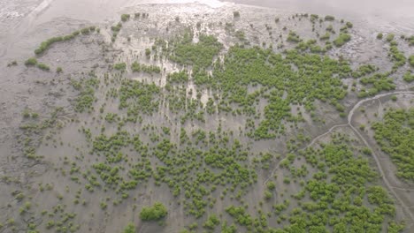 Slow-aerial-flyover-of-the-rising-tide-in-the-wetlands-just-outside-of-Freetown,-Sierra-Leone