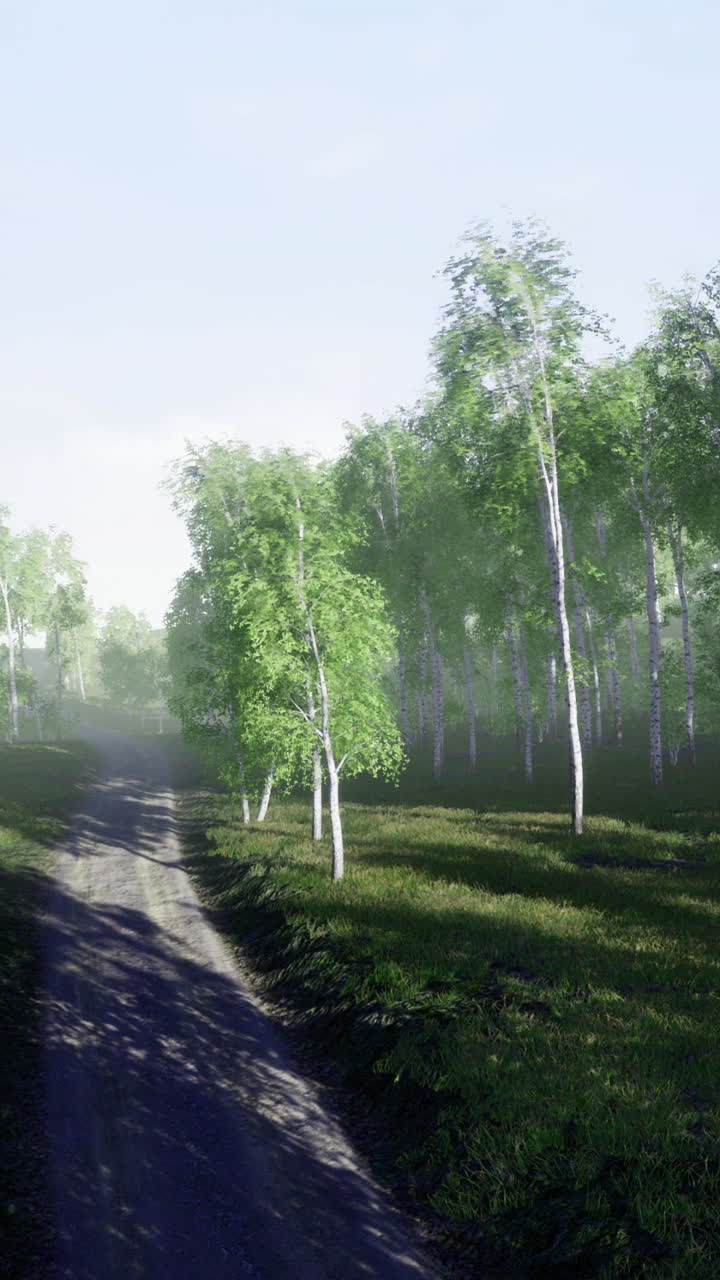 Serene forest path embracing morning light in a tranquil landscape