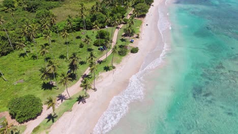 aerial view of secluded tropical beach with palm trees