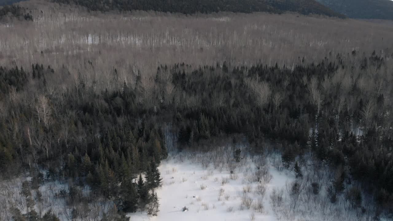 Riprese aeree con drone di una giornata di sole con nuvole su un paesaggio invernale, che include una foresta e alberi, montagne e campi aperti in Quebec, Canada, durante l'inverno canadese