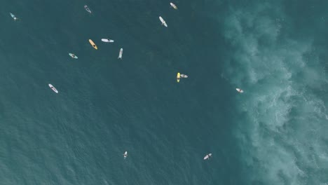 vista aérea de arriba hacia abajo de los surfistas en sunzal el tunco el salvador