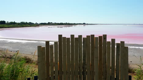 The-historical-town-of-Aigues-Mortes-in-the-Camargue,-France-during-a-sunny-summer-day-which-is-located-next-to-a-pink-salt-lake