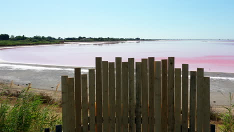 la ciudad histórica de aigues-mortes en la camarga, francia durante un día soleado de verano que se encuentra junto a un lago de sal rosa