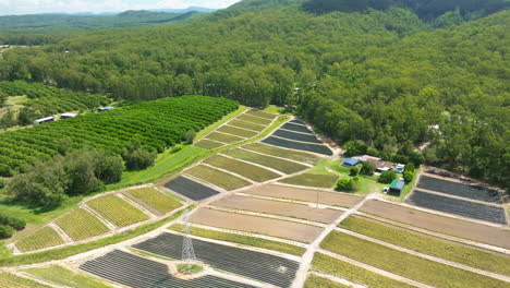 Aerial-Drone-Flyover-Colorful-Agriculture-Grid-Farmland-In-Rural-Australia,-4K-Sunshine-Coast