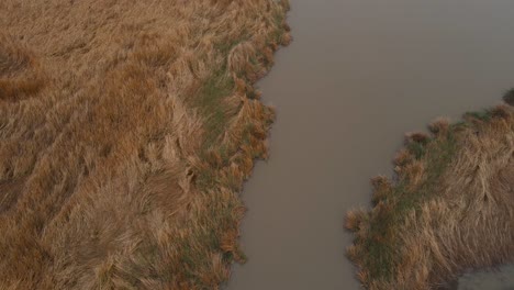 Überschwemmungen-In-Der-Lagune-Von-Carlsbad-Im-Regen