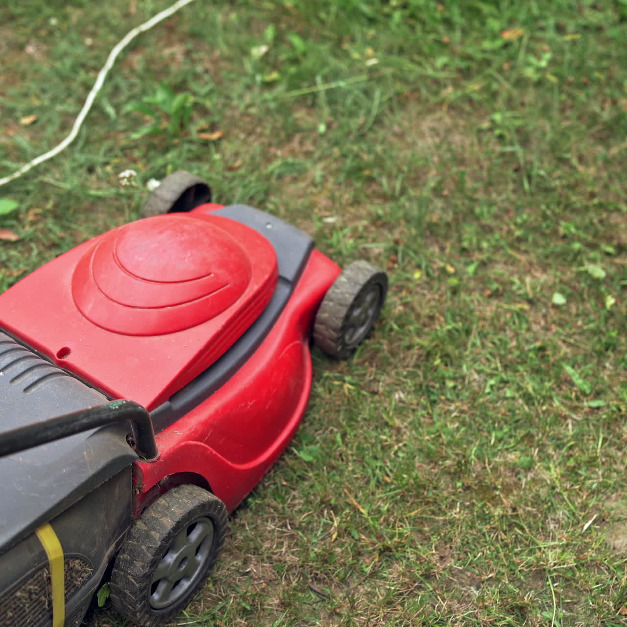 Close-up work of electric lawn mower. Red and black cutting machine trimming grass in the backyard.