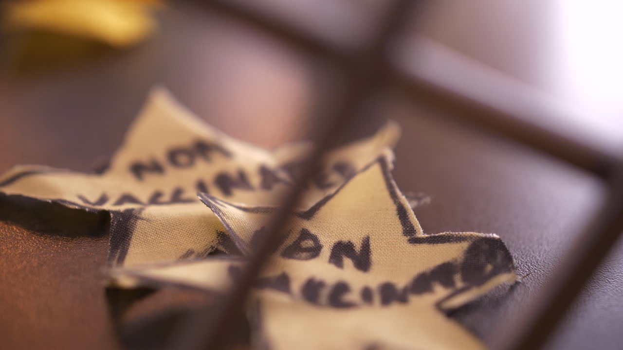 예방 접종을 받지 않은 인구 기호, 음모론 안티 백신 사회 개념