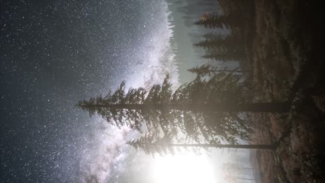 Milky-Way-stars-with-moonlight-above-pine-trees-forest