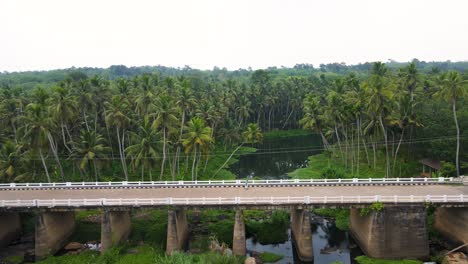 aerial drone shot of kerala’s tranquil forest landscape, where a river gently cuts through coconut palms.