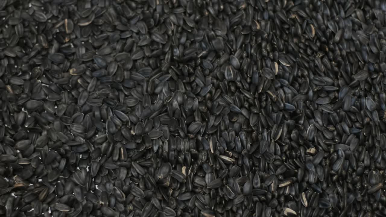 많은 씨, 선플라워 씨, 베이킹 머신, 긴 선플라우머 씨, 자동차에서 나온 음식 생산.