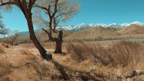 walking-toward-the-lake-with-mountains-at-the-backyard