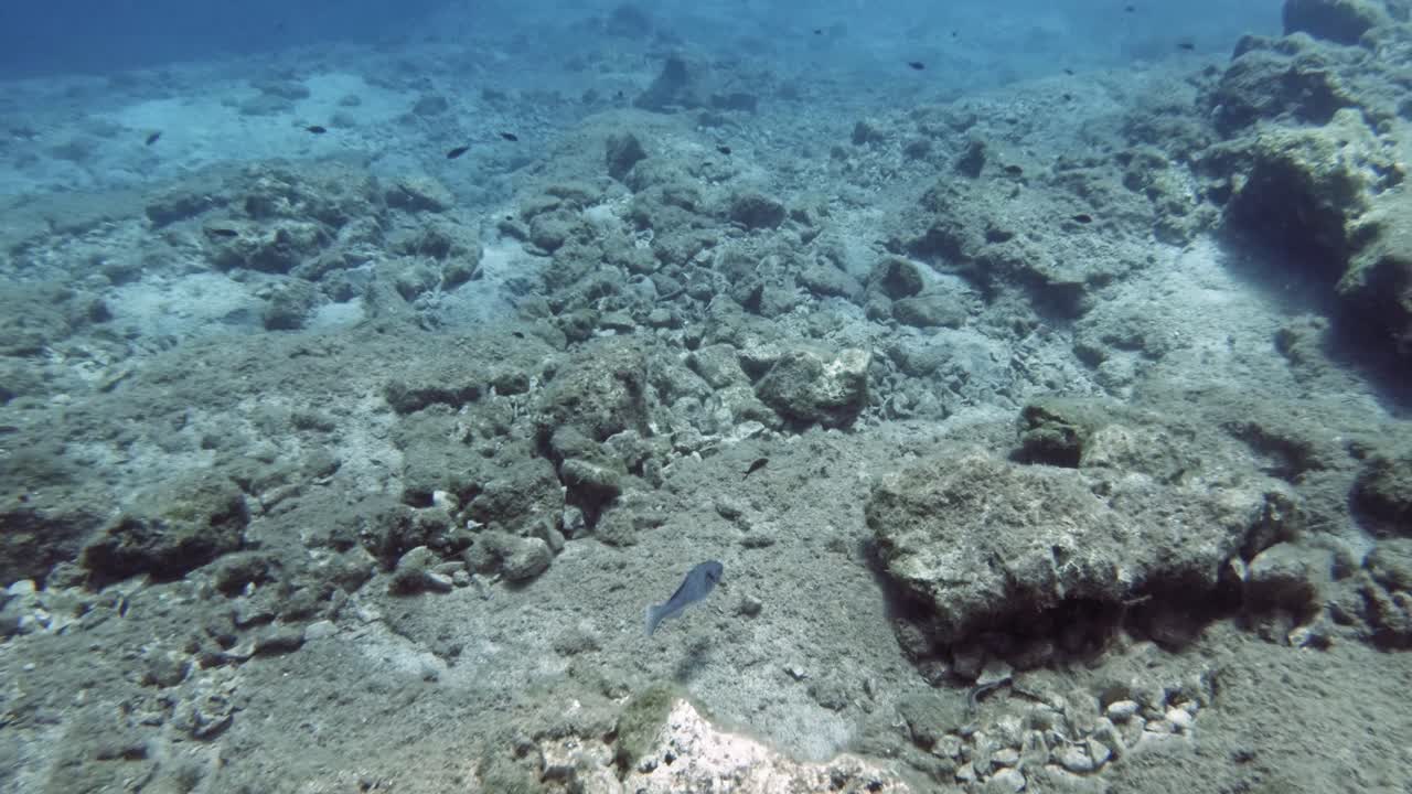 Snorkeling In Clearwater Of Emplisi Beach In Kefalonia, Ionian Islands, Greece. Underwater