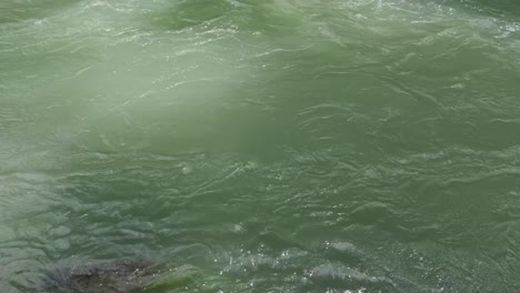 slow motion greenish water in fast flowing river