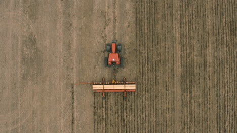 aerial - harvester tractor cultivating land, agriculture field at dawn, top down