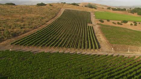 Hubschrauber-Niedrige-Antenne-Von-Santa-Barbara-County-Weinberge-Kalifornien-3-Ca