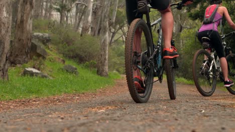 couple biking through a forest