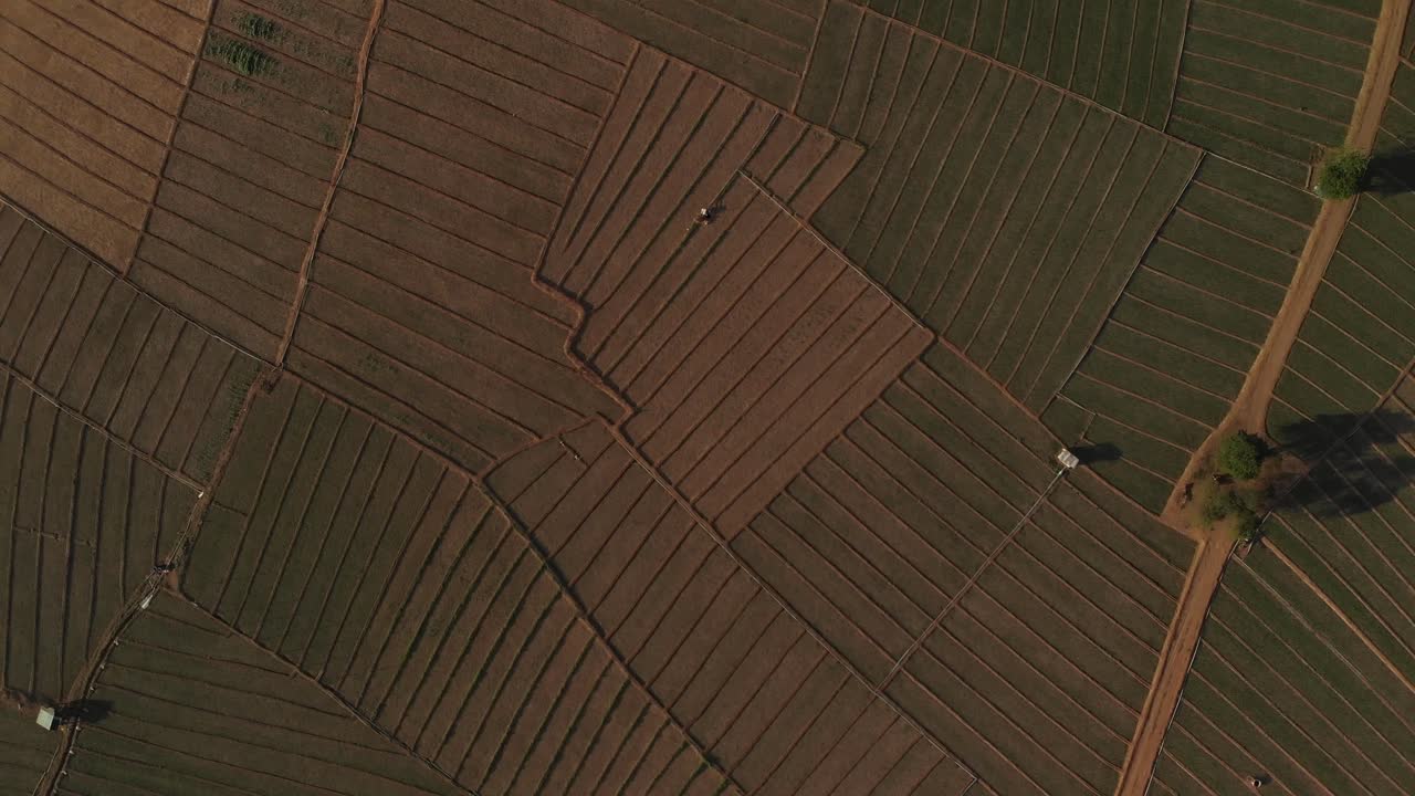 Aerial View of Farmland with Agricultural Machinery