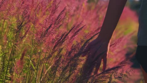 young girl runs fingers through beautiful pink flowers in hawaii